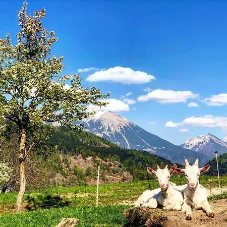 Apartment Landscape Zgornje Gorje