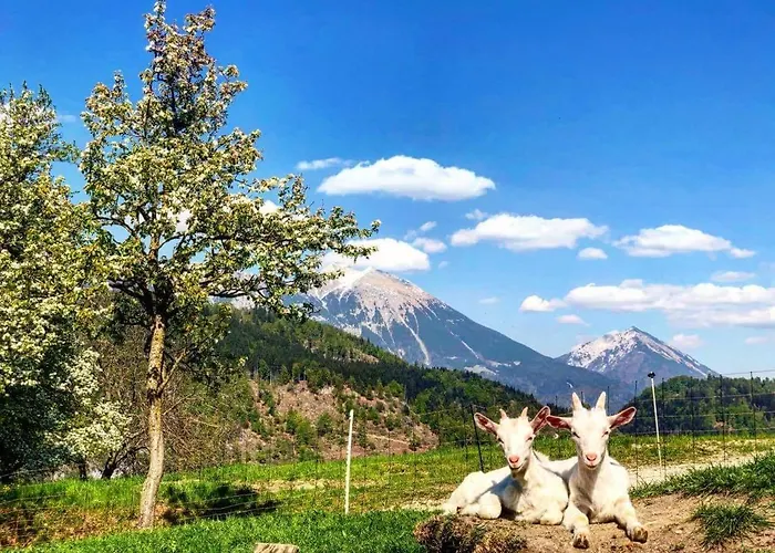 Appartement Landscape Zgornje Gorje